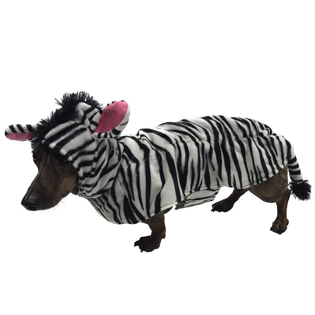 Best Music Posters Zebra Costume for Small Pets (Large)