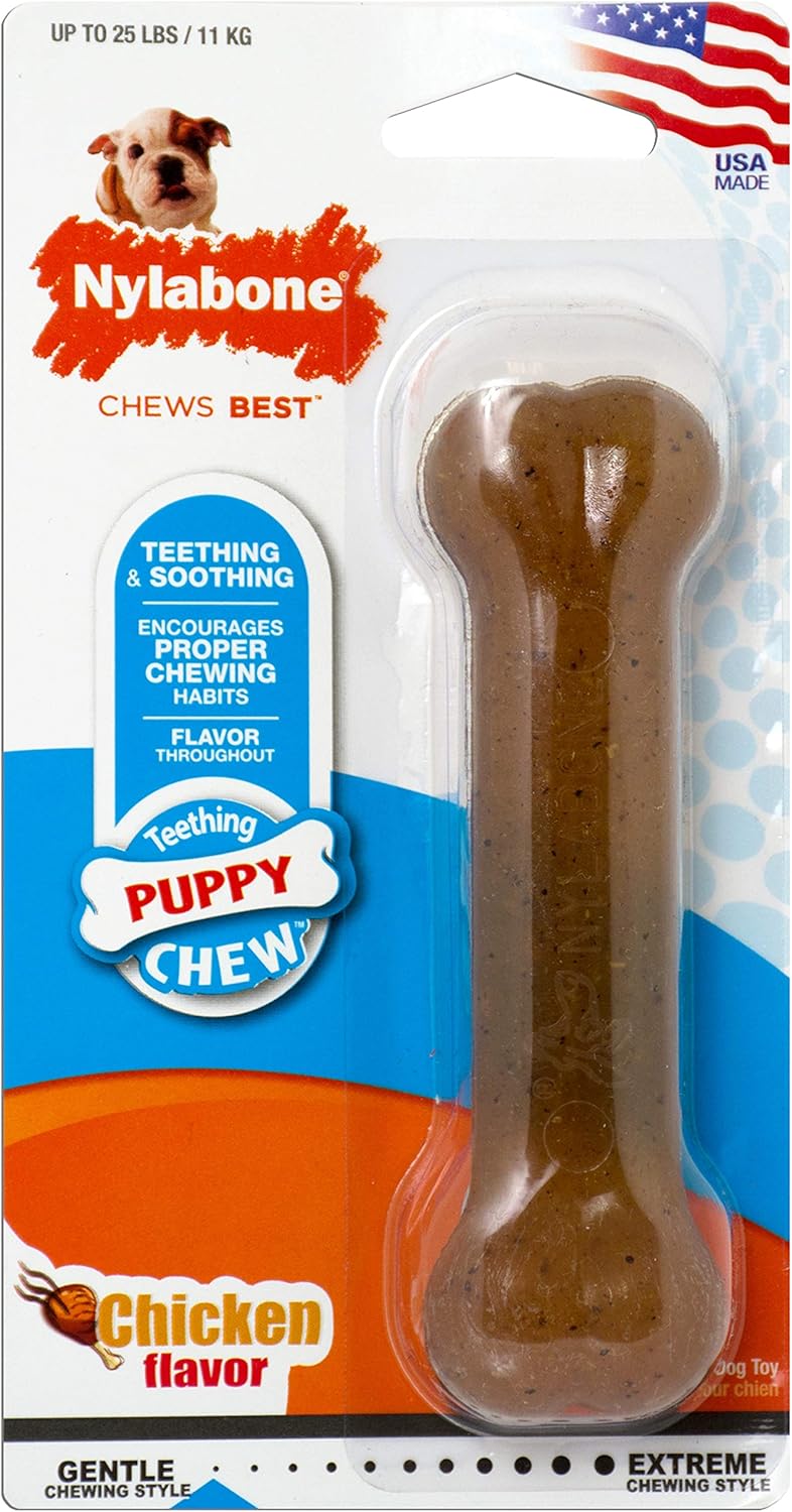 Nylabone Puppy Bone Regular Size Chew Toy - Chicken Flavor