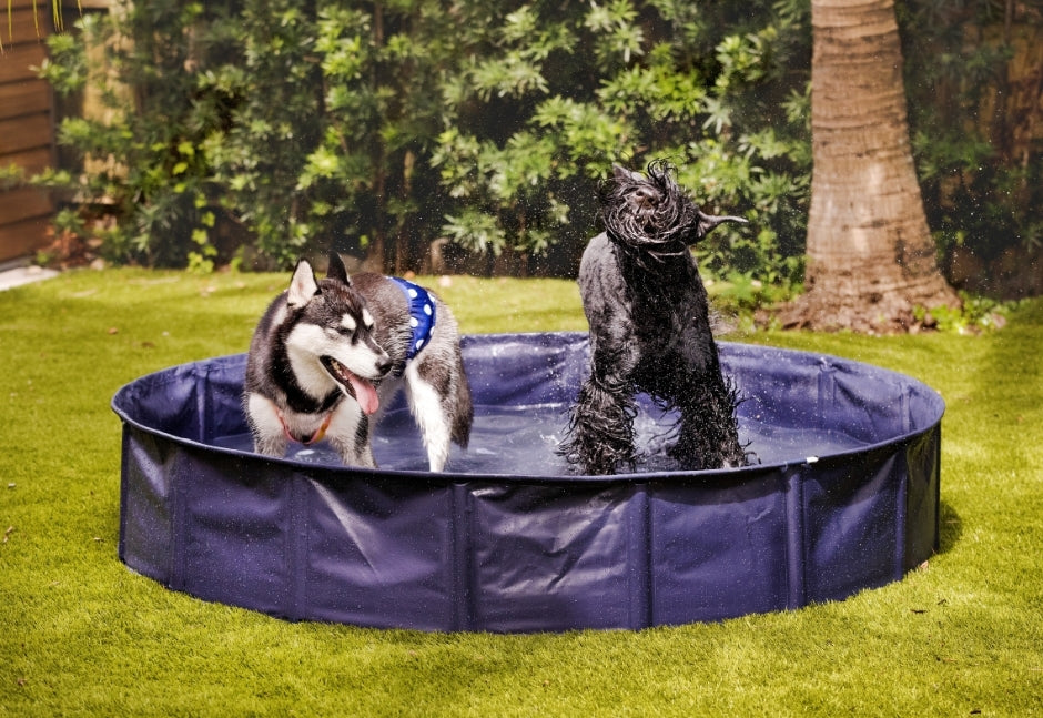 Midlee Navy Blue Dog Pool- 63"