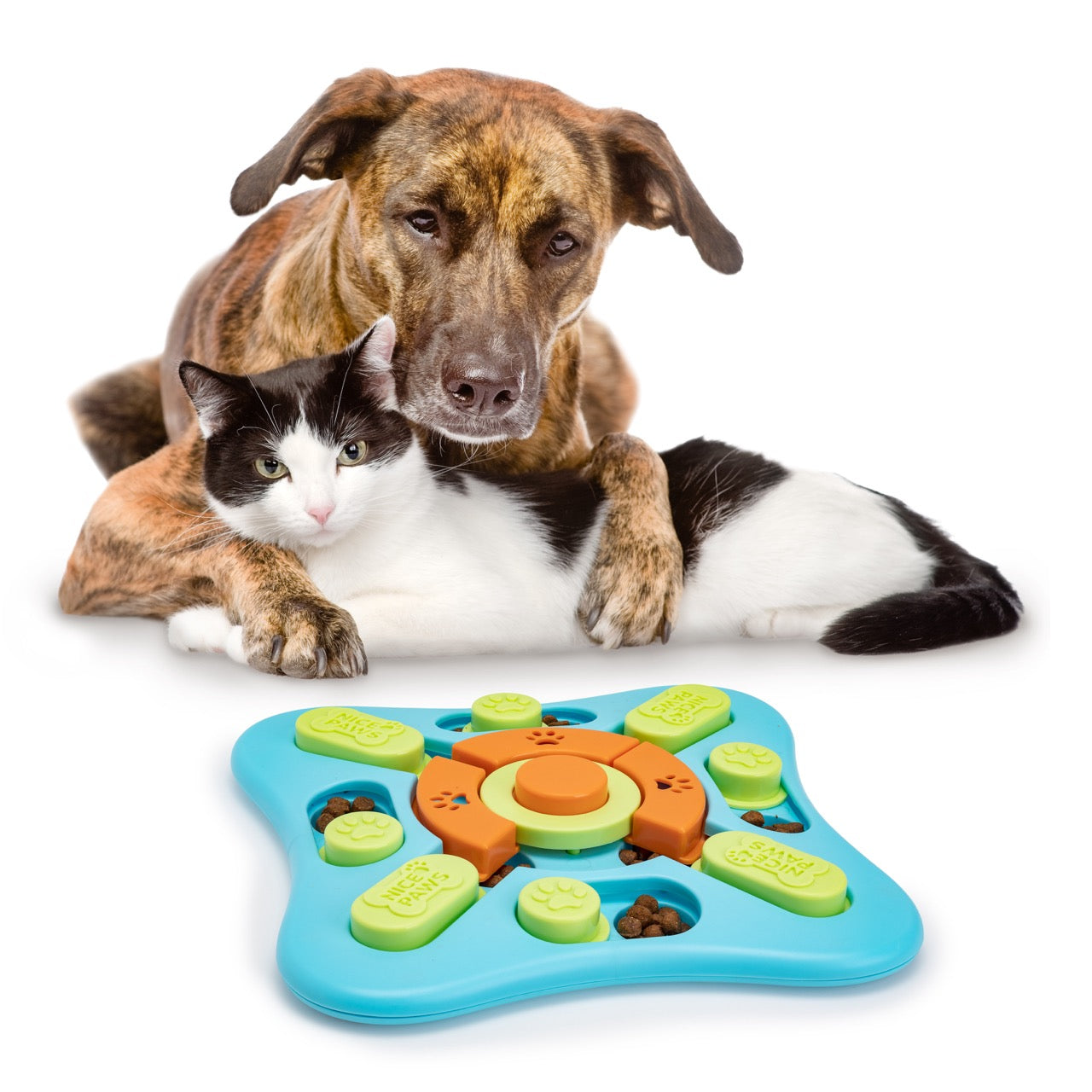 Nice Paws Level 2 Intermediate Slide N Squeak Pet Puzzle Feeder Toy