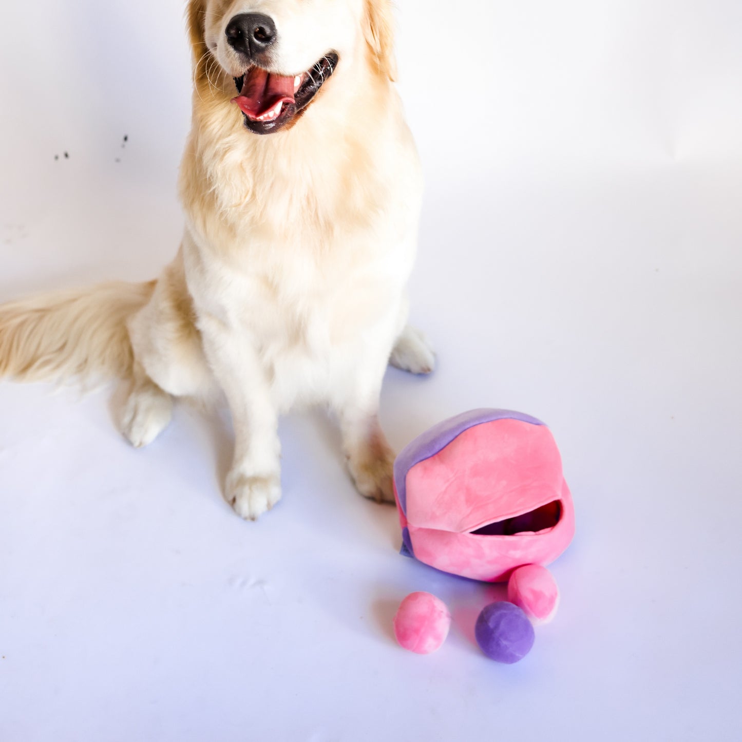 Midlee Hide a Ball Dog Toy - Pink/Purple