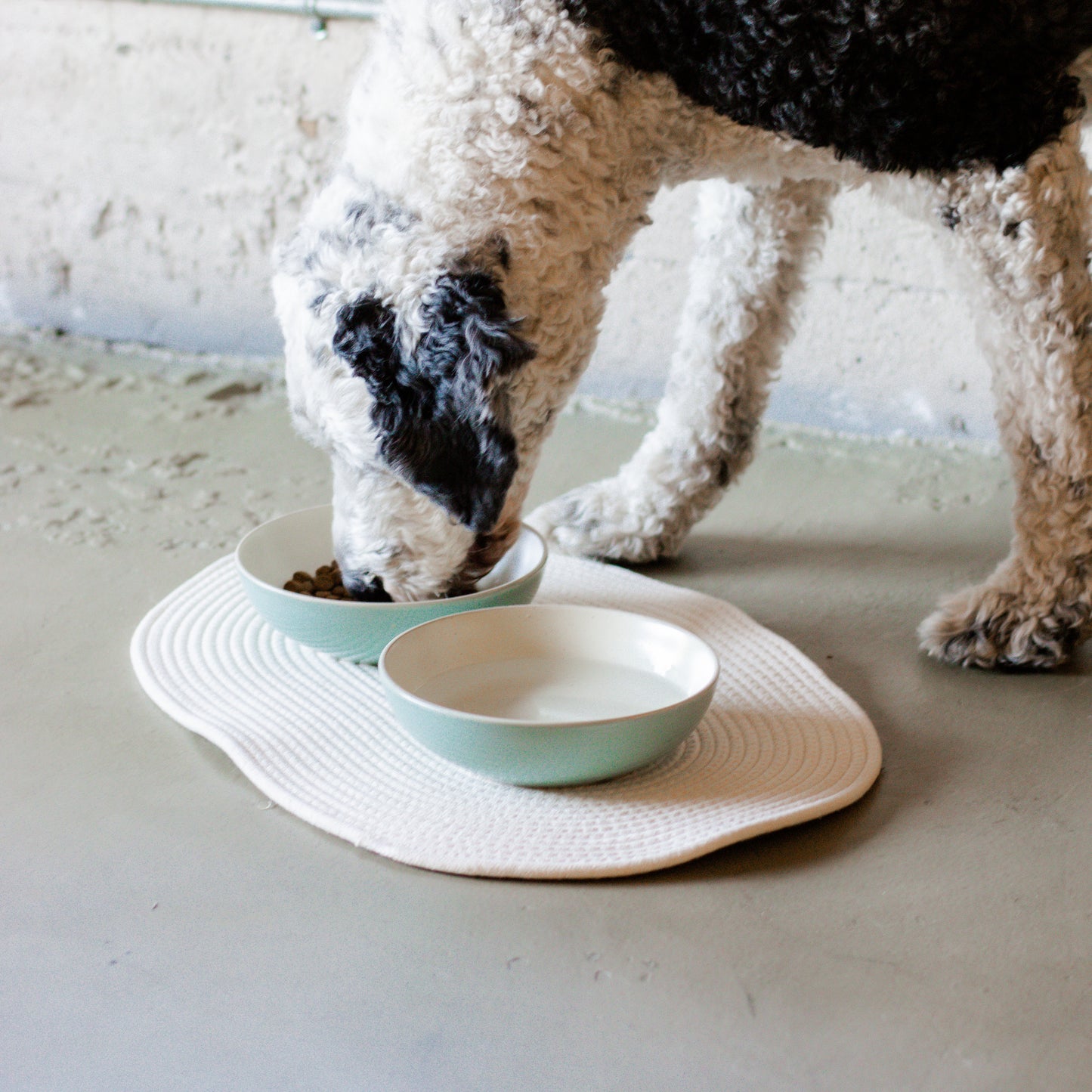 Midlee Rope Dog Bowl Placemat Cotton Indoor Pet Cat Mat Food Water Mat