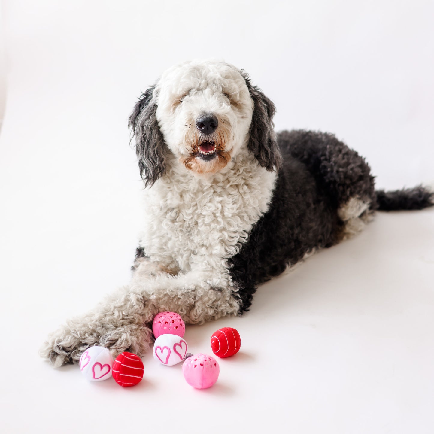 Midlee Valentine Plush Balls Dog Toy - Set of 6