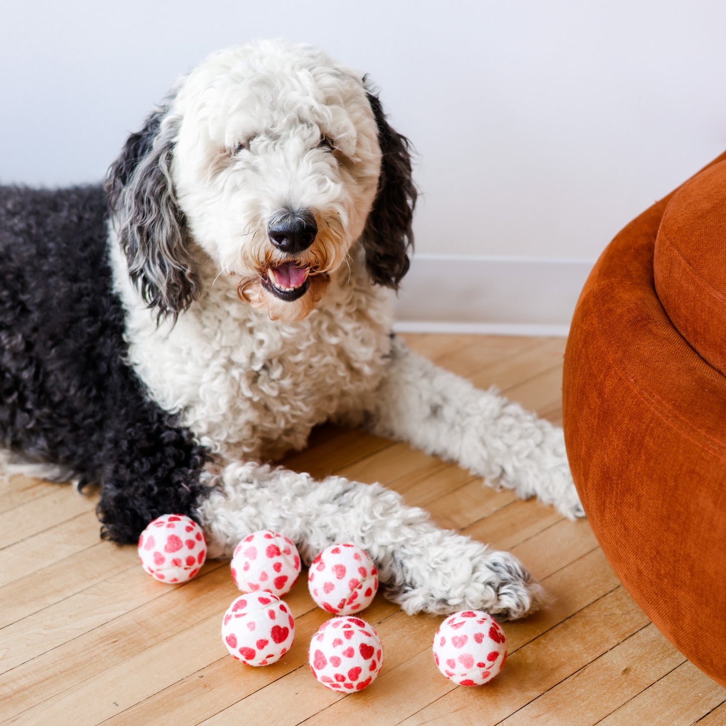 Midlee Valentine's Hearts Dog Tennis Balls Regular Large Size Gift