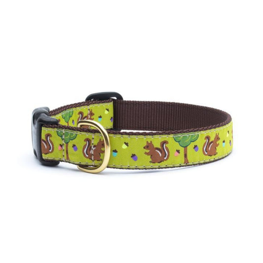 Up Country Nuts Dog Collar - Medium