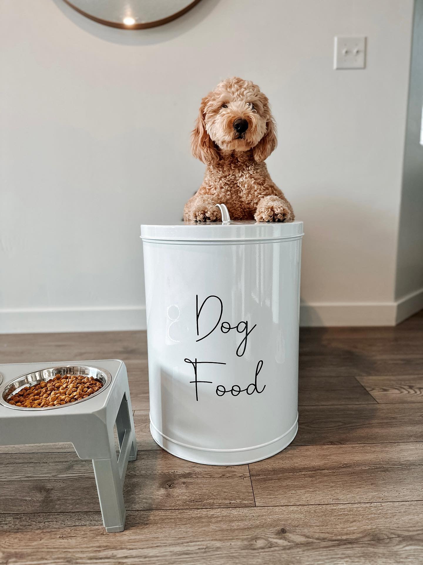 Midlee Metal Dog Food Storage Container