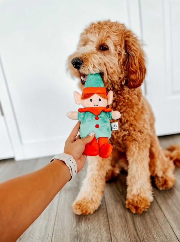 Midlee Christmas Elf Plush Dog Toy