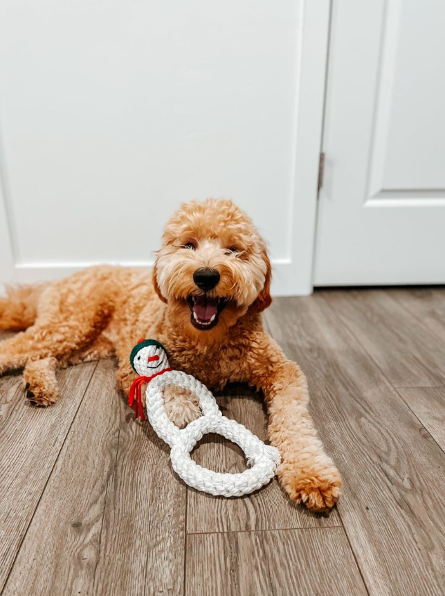 Midlee Snowman 2 Ring Rope Tug Christmas Dog Toy