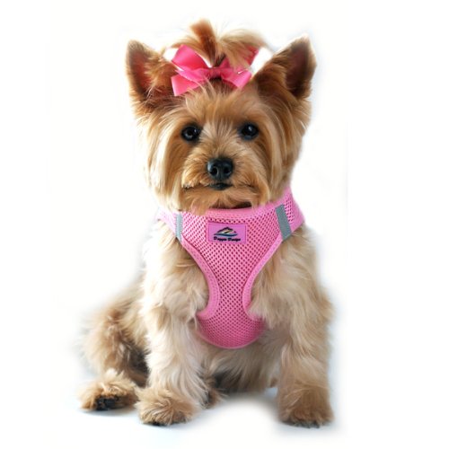 American River Choke Free Reflective Dog Harness, Pink, Large