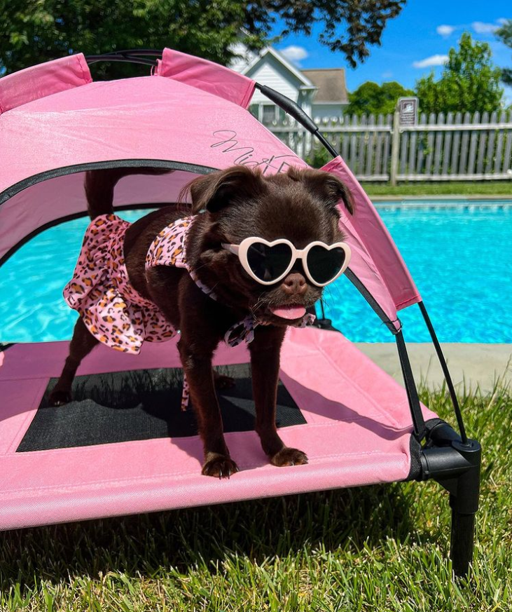 Midlee Pink Dog Cot Canopy