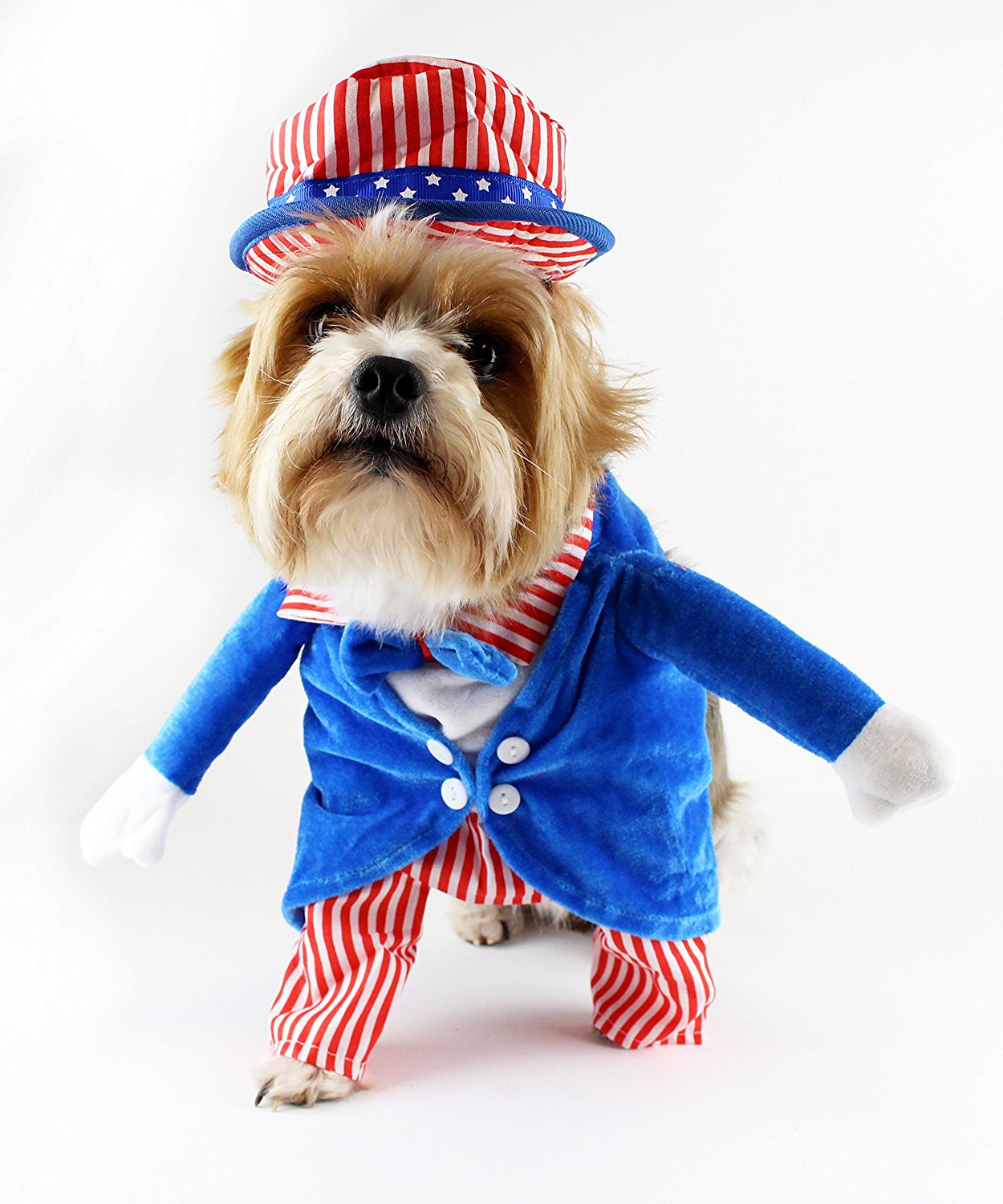 4th of 2024 july dog outfits