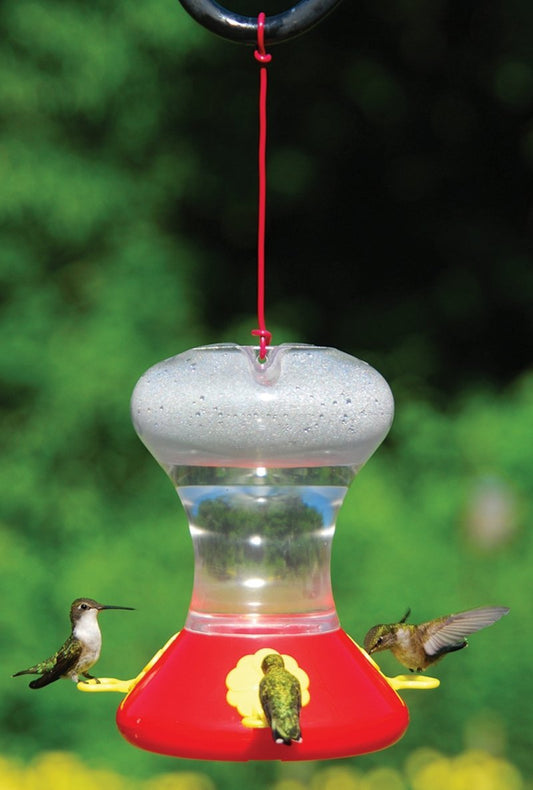 Songbird Essentials SEBCO360 Fliteline Hummingbird Bird Feeder