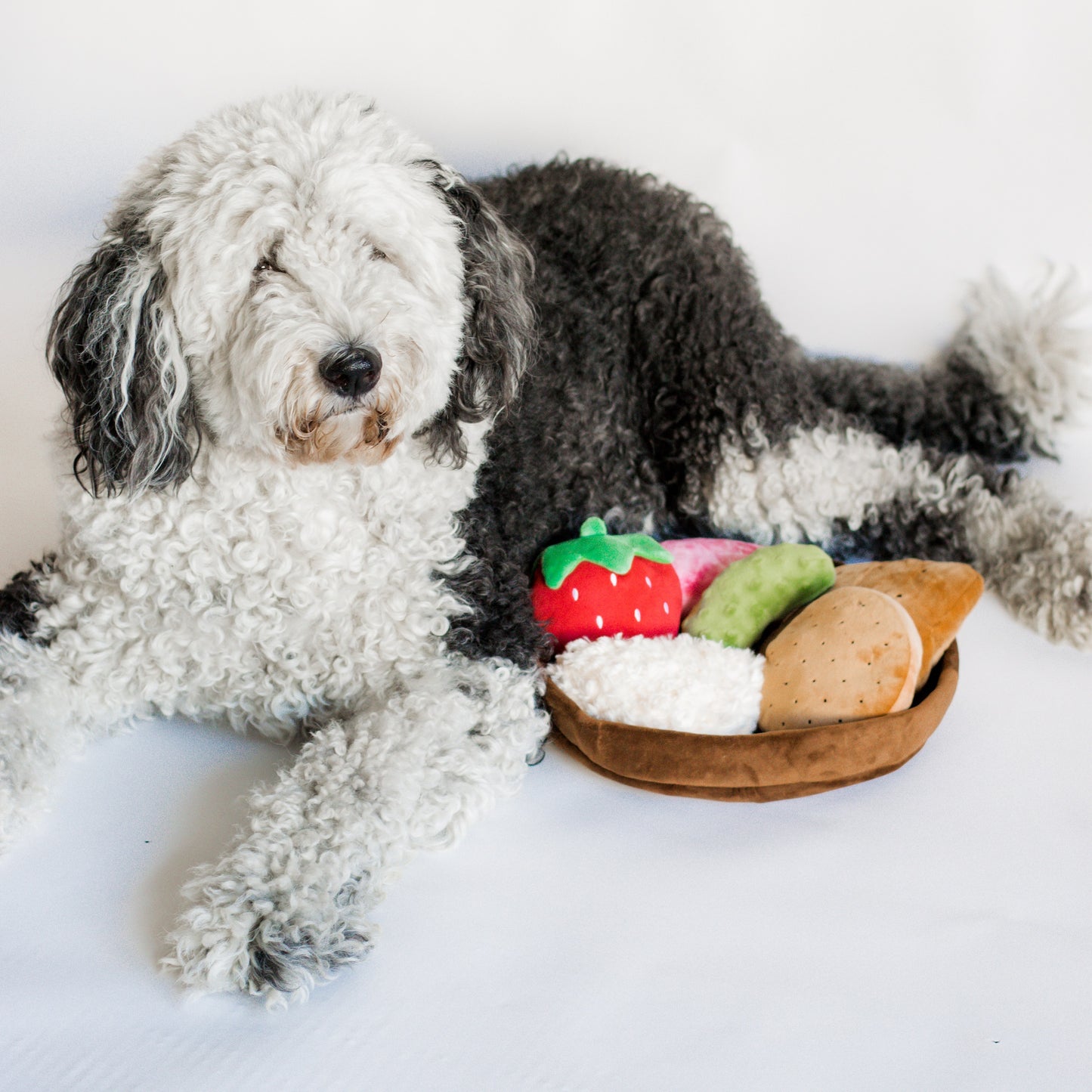 Charcuterie Board Dog Toy