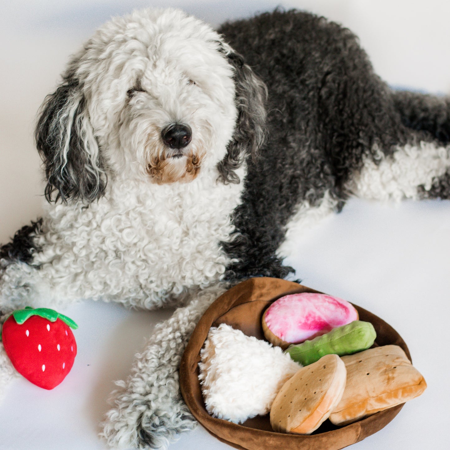 Charcuterie Board Dog Toy