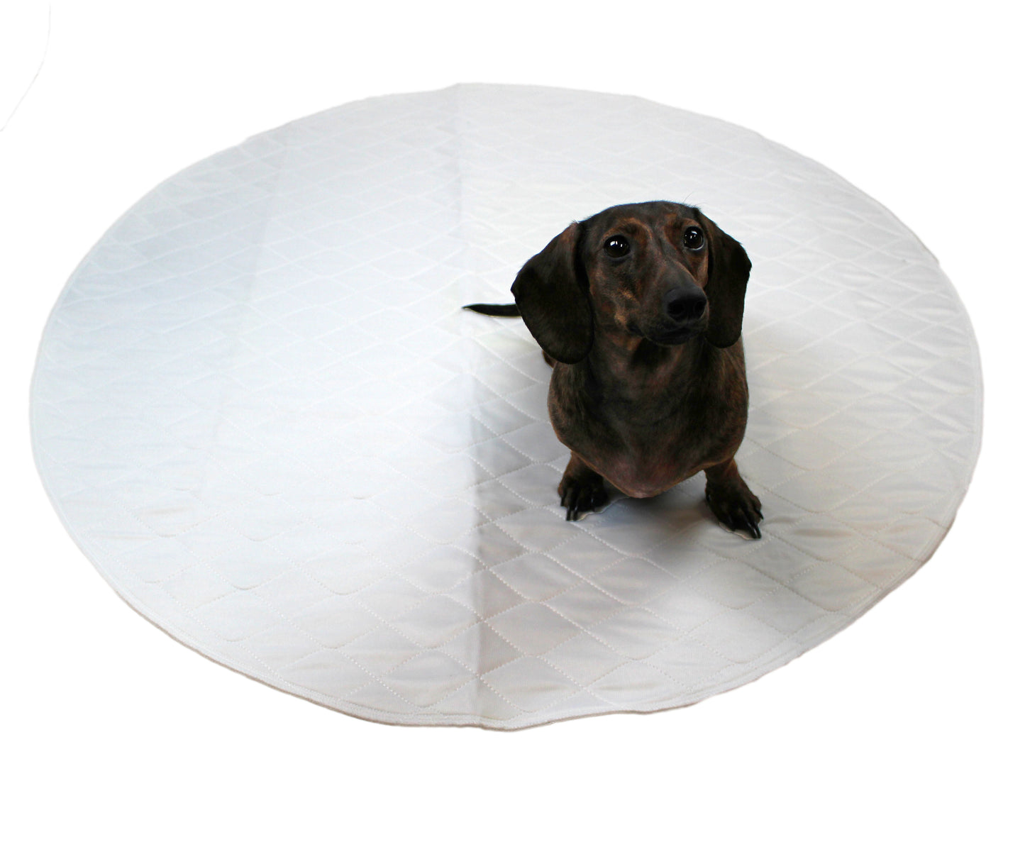 Midlee Washable Whelping & Pee Pad for Dogs 36" Round Pack of 3