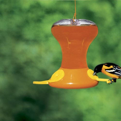 Songbird Essentials SEBCO230 Fliteline Junior Oriole Feeder, 30-Ounce