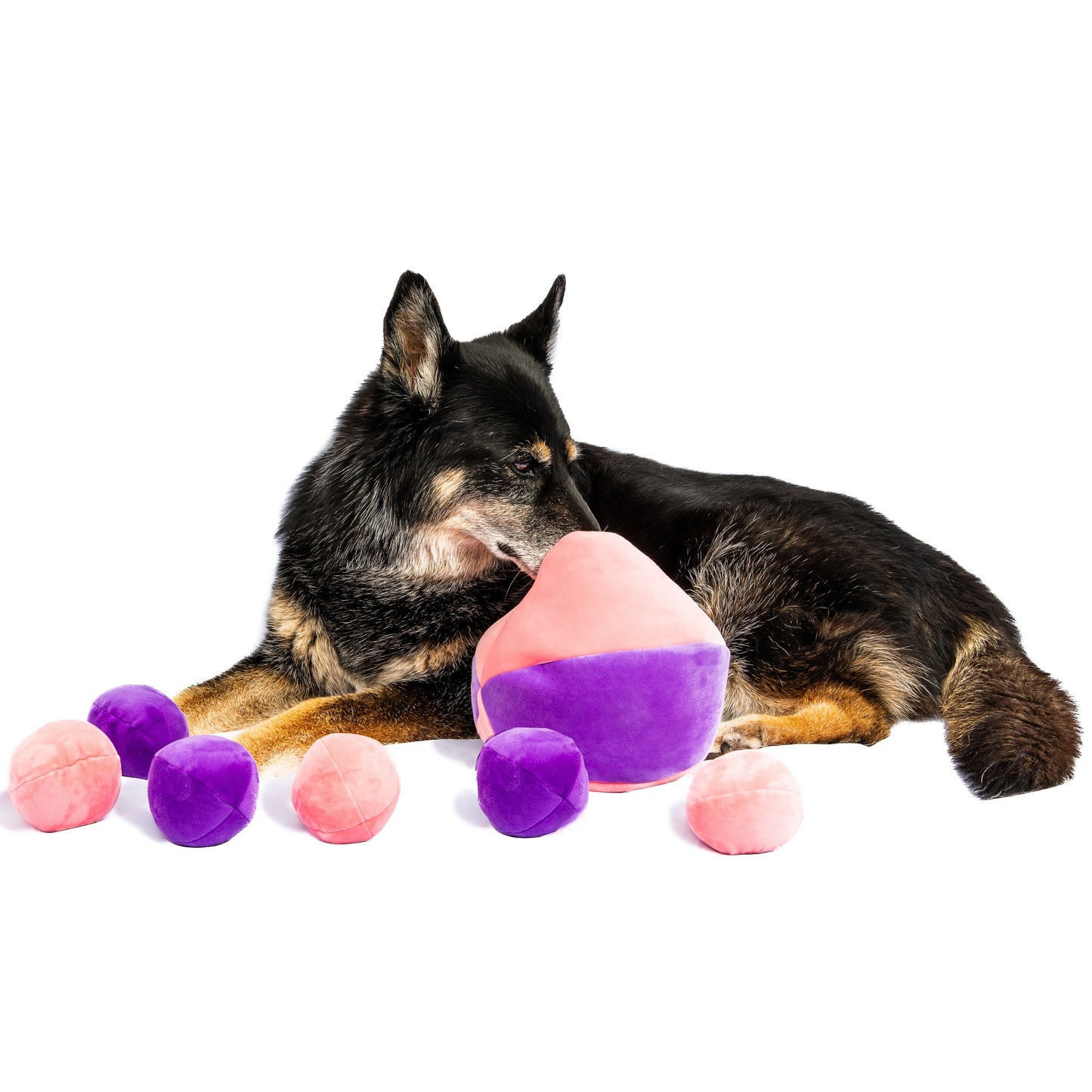 Midlee Hide a Ball Dog Toy - Pink/Purple