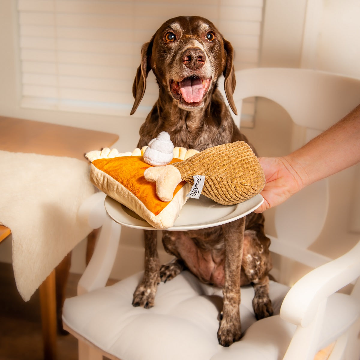 Midlee Thanksgiving Meal Dog Toy Set - Pumpkin Pie & Turkey Leg