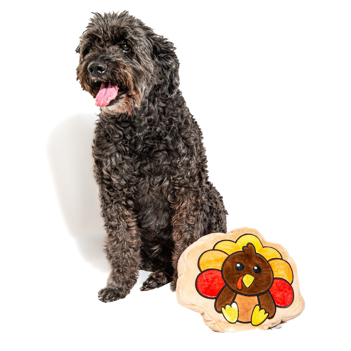 Midlee Turkey Thanksgiving Sugar Cookie Dog Toy