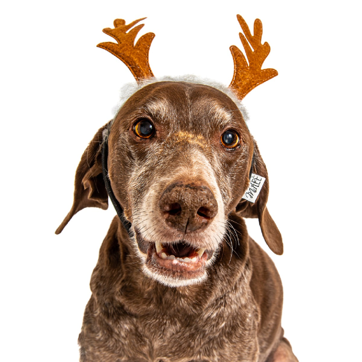 Midlee Furry Antlers Dog Headband