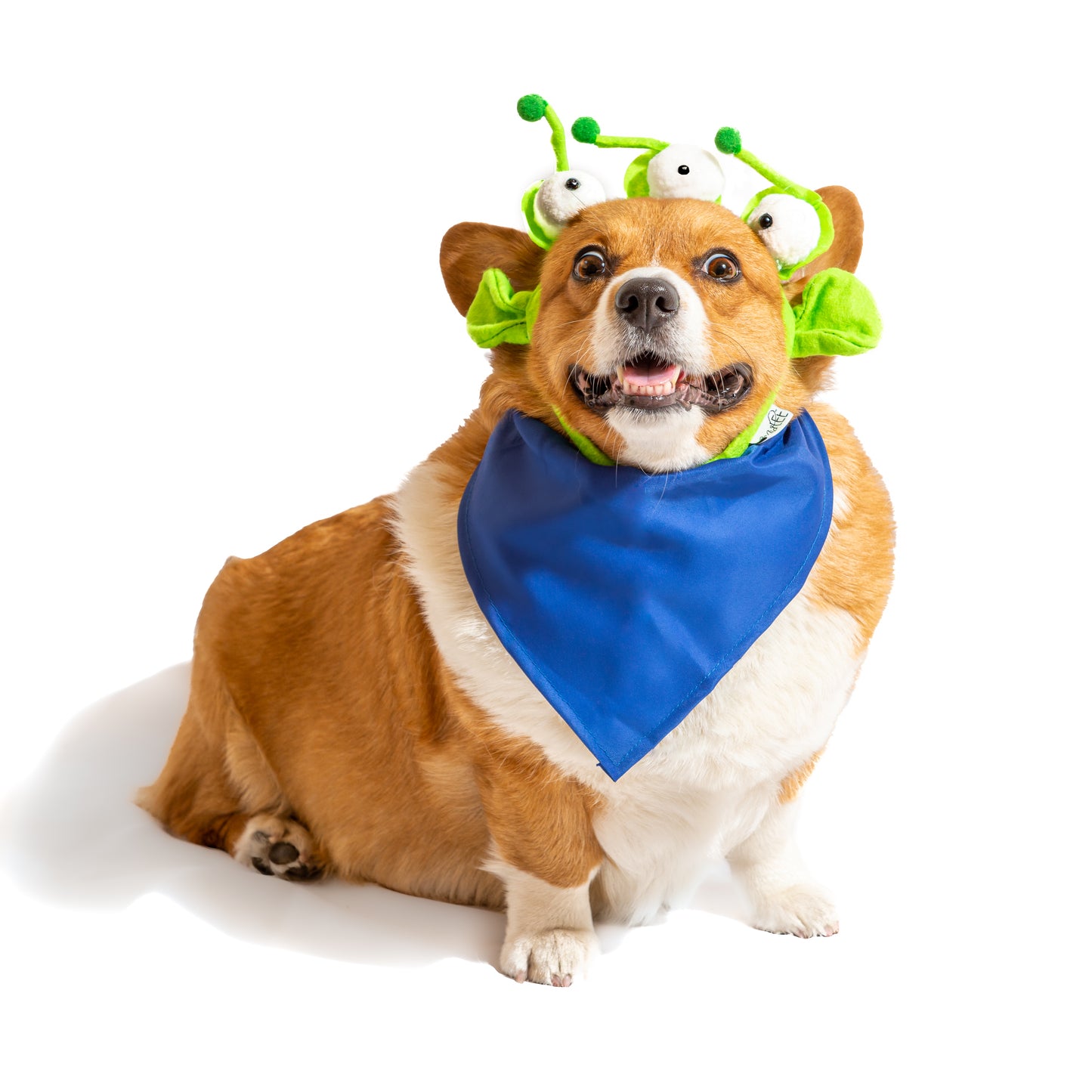 Midlee Alien Dog Headband Costume