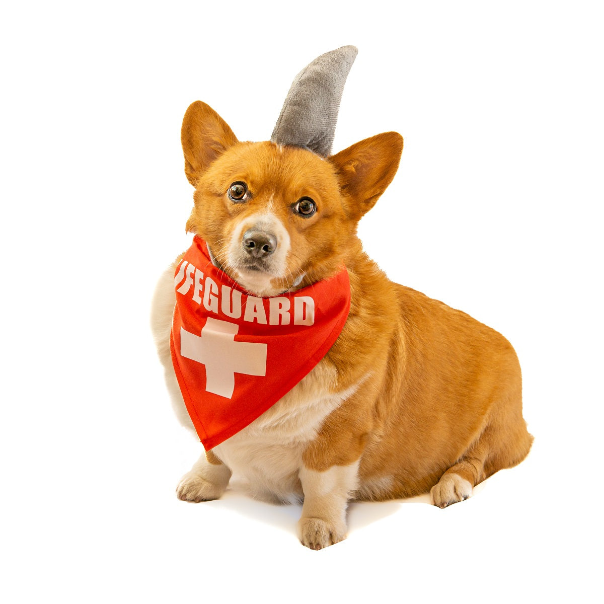 Midlee Shark Dog Headband Costume