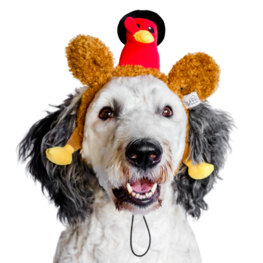 Midlee Pilgrim Turkey Thanksgiving Dog Headband