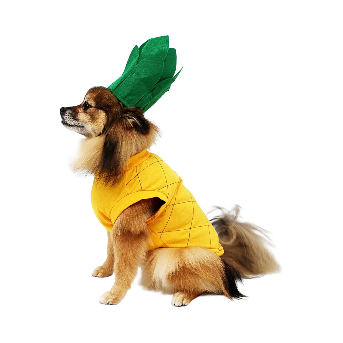 Midlee Pineapple Dog Costume