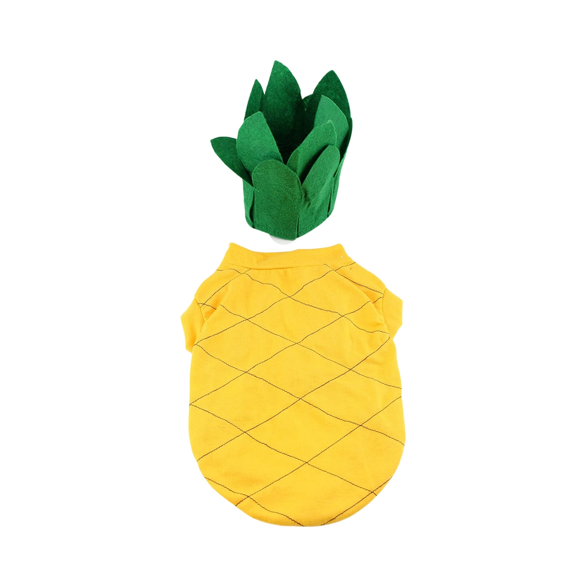 DIY Pineapple Costume » Images & Makeup Tutorial | maskerix.com
