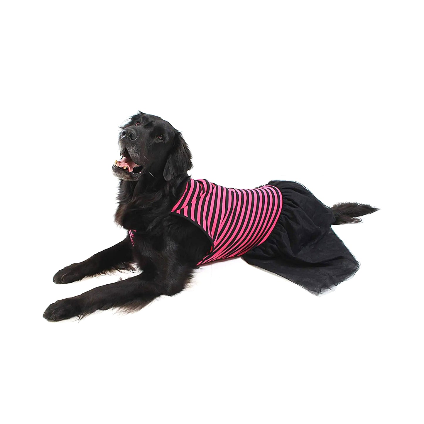Midlee Pink & Black Stripe Tutu Large Dog Dress