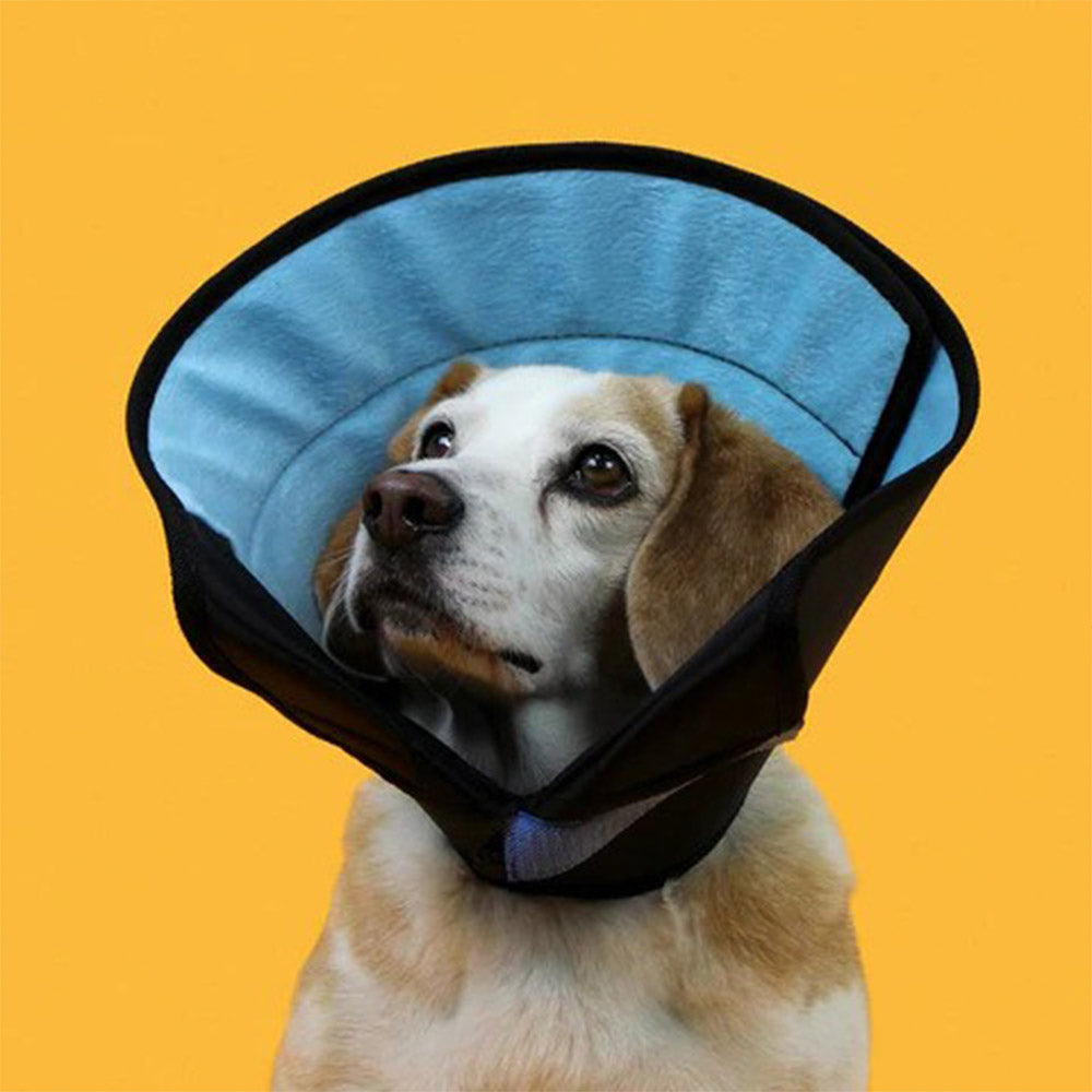 KVP International Calmer Collar - Small