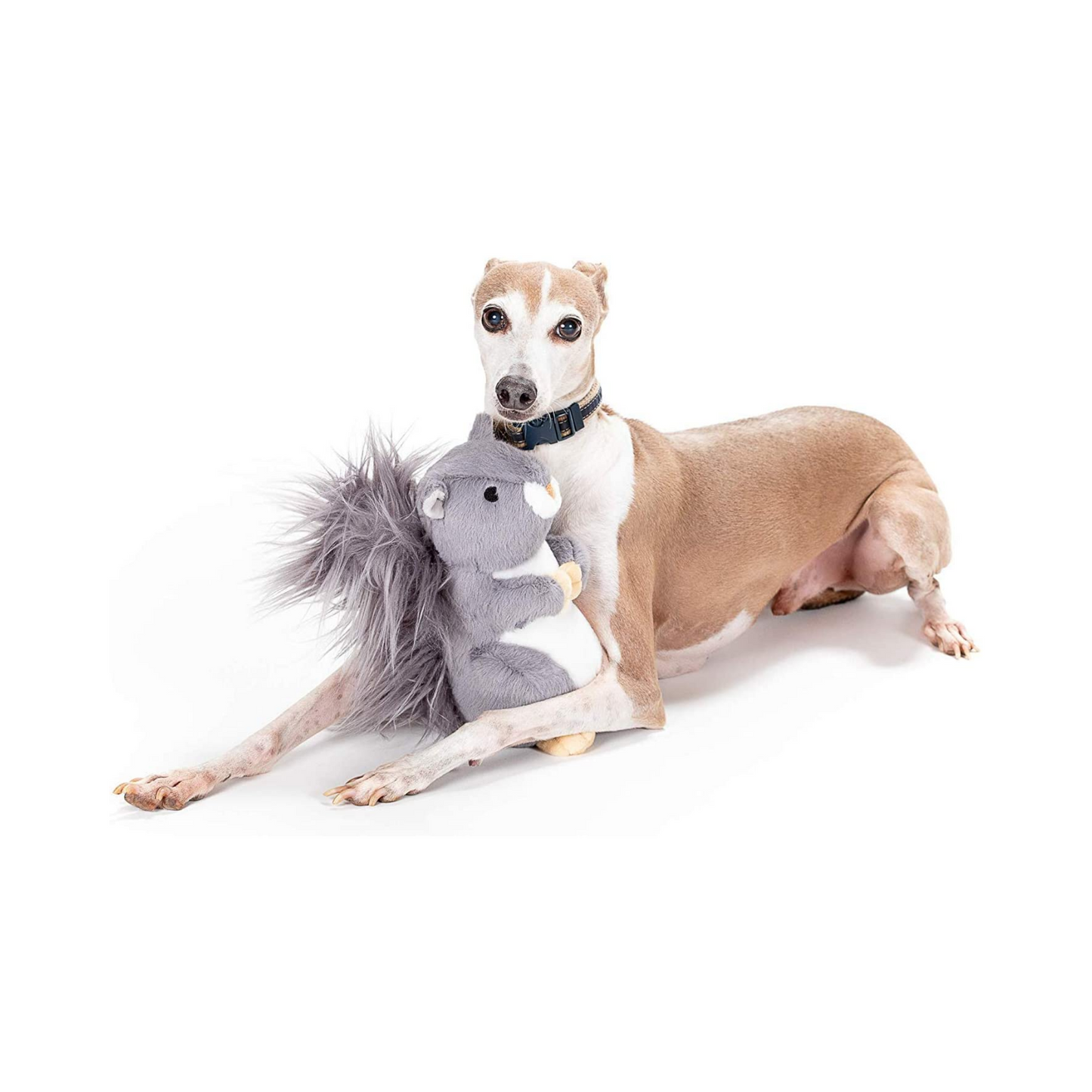 Midlee Plush Squirrel Furry Tail Large Dog Toy