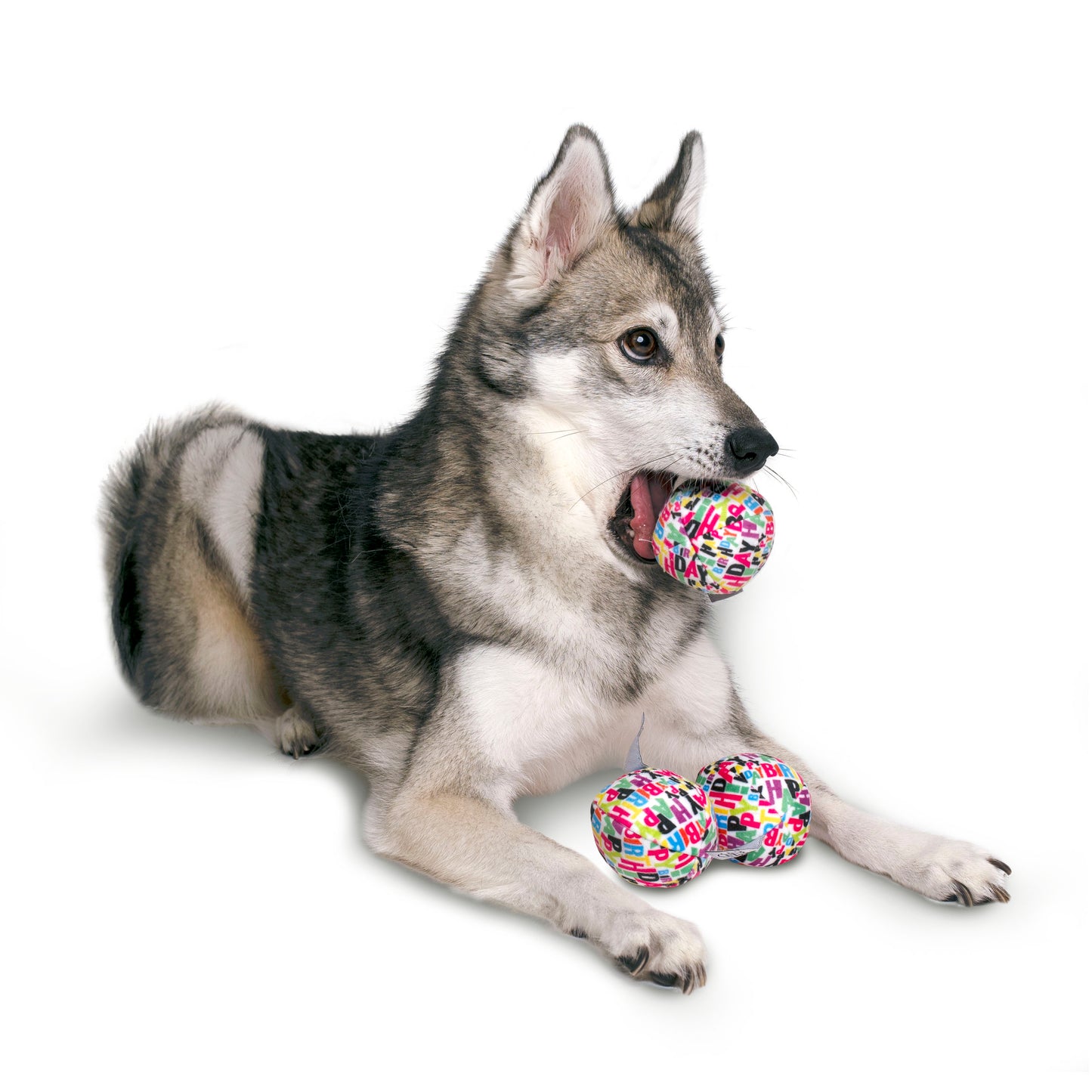Midlee Plush Birthday Balls Dog Toy- Set of 3