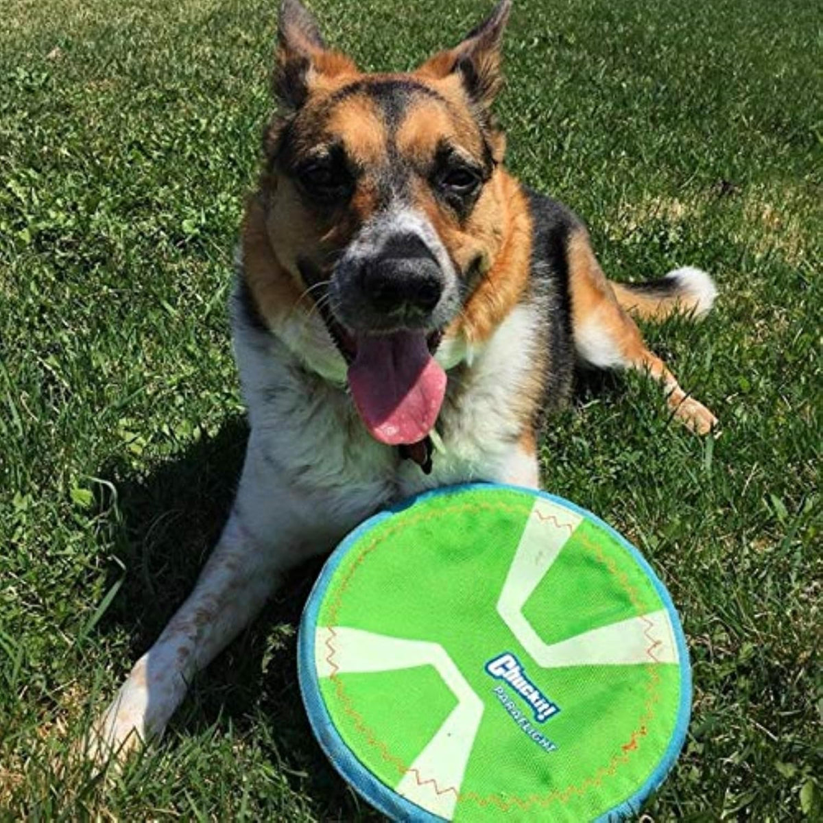 Chuckit Max Glow Paraflight Water Floating Flying Disc Dog Toy - Large-2 Pack