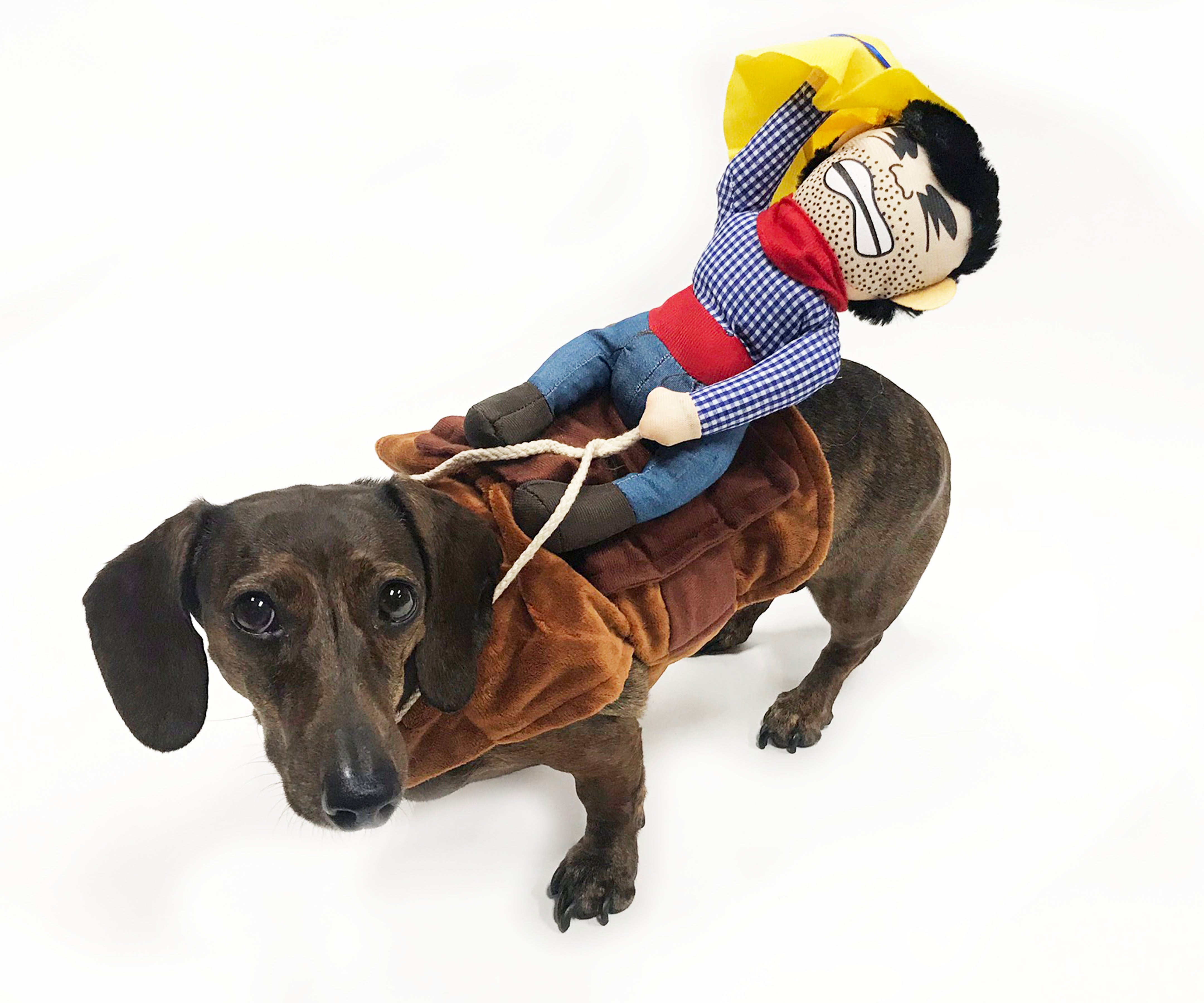 Bucking bronco 2025 dog costume