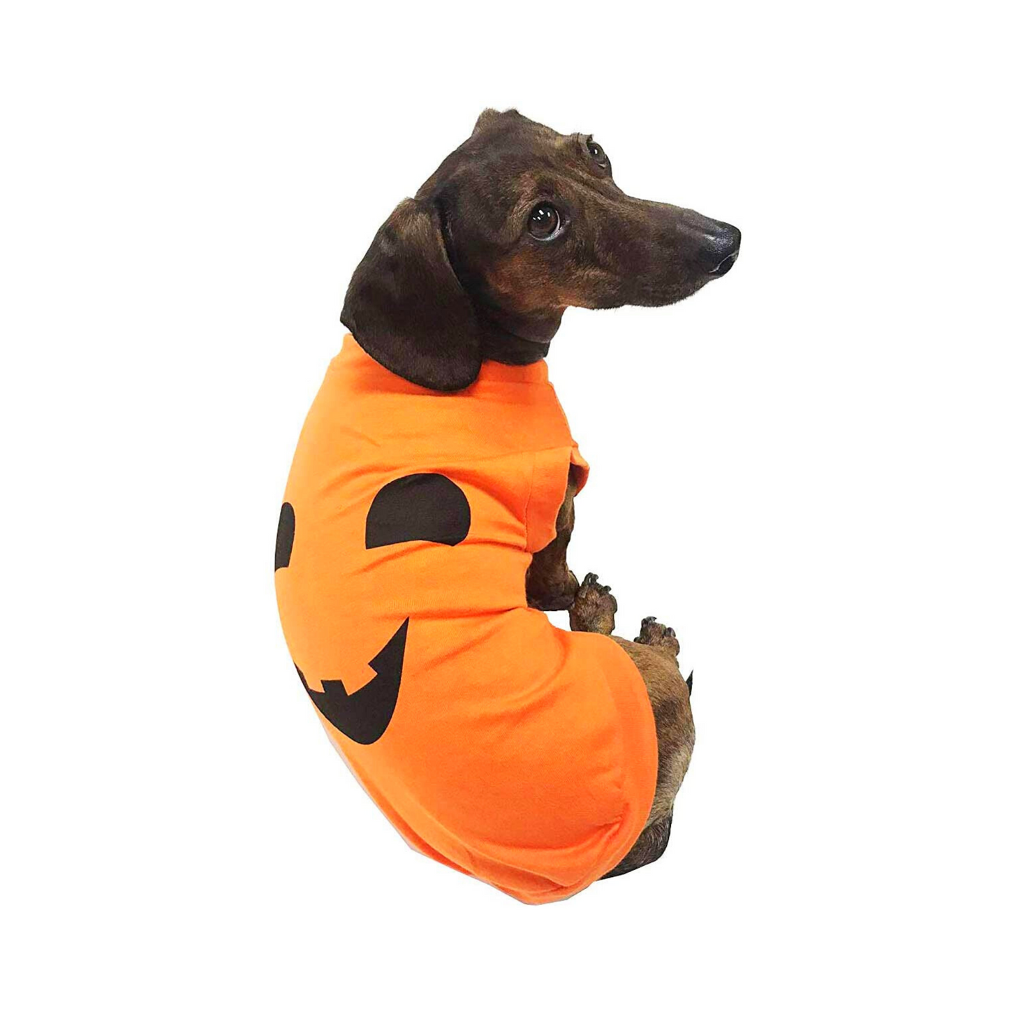 Midlee Pumpkin Face Dog Shirt Costume