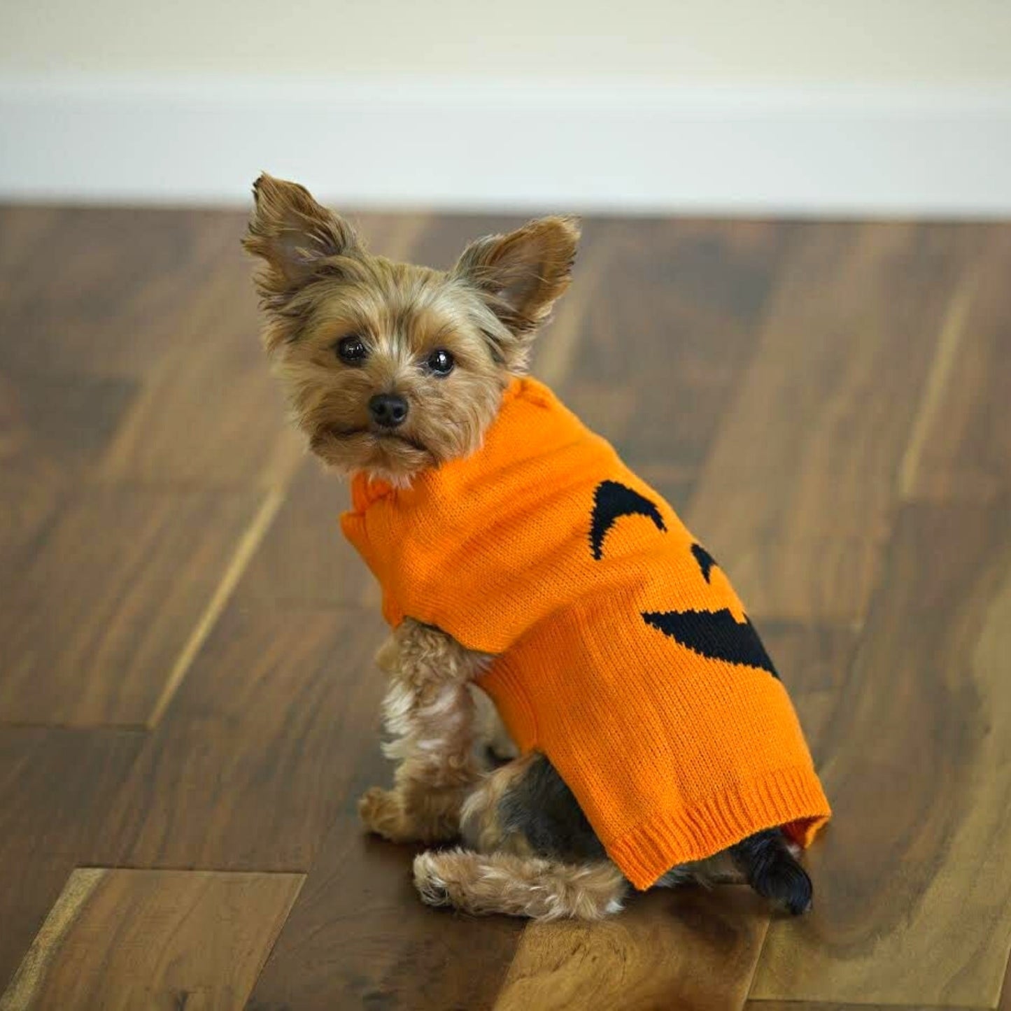 Midlee Pumpkin Face Dog Sweater