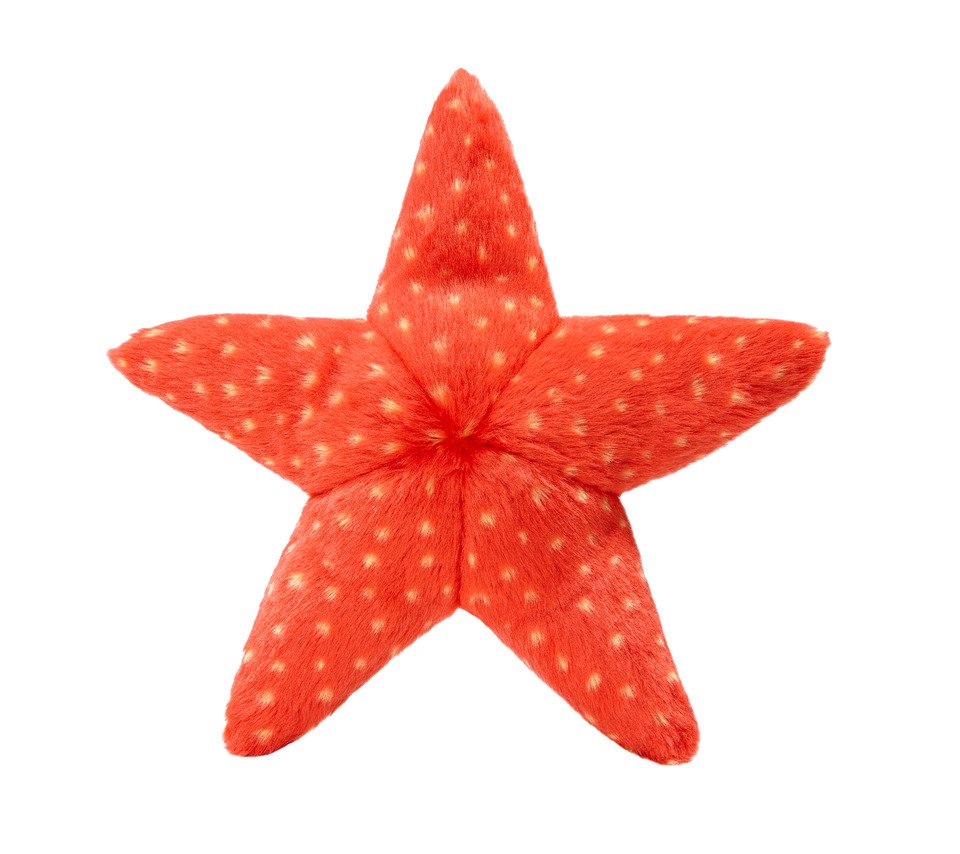 Fluff and Tuff Ziggy Starfish Dog Toy