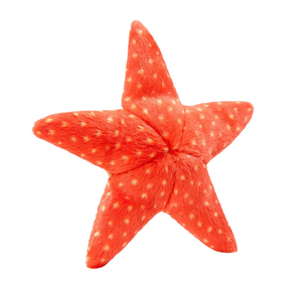 Fluff and Tuff Ziggy Starfish Dog Toy