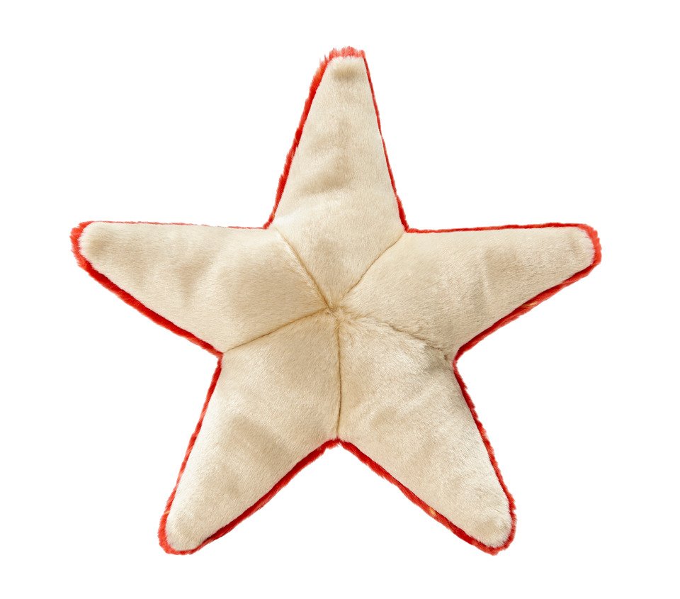 Fluff and Tuff Ziggy Starfish Dog Toy