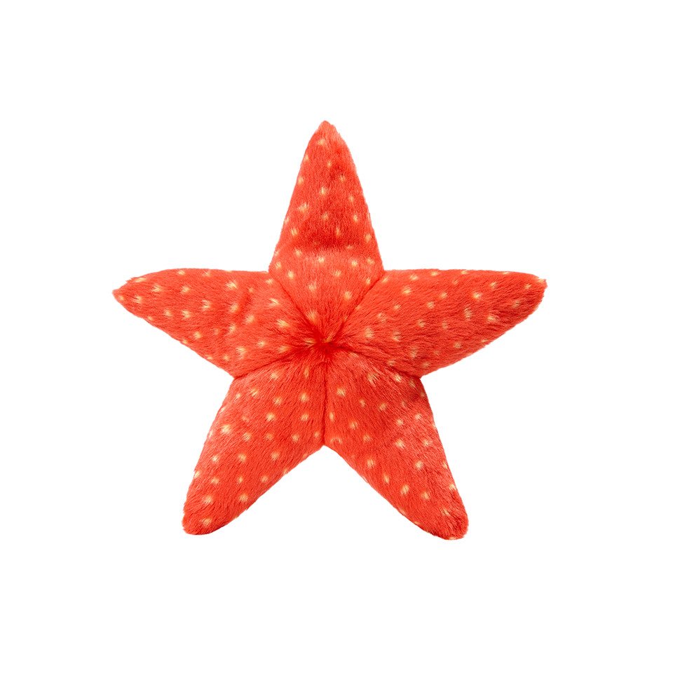 Fluff and Tuff Ziggy Starfish Dog Toy