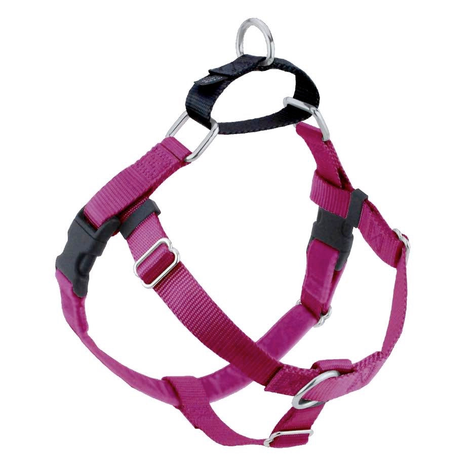 2 Hounds Design Freedom No Pull Dog Harness, 5/8" Small, Raspberry