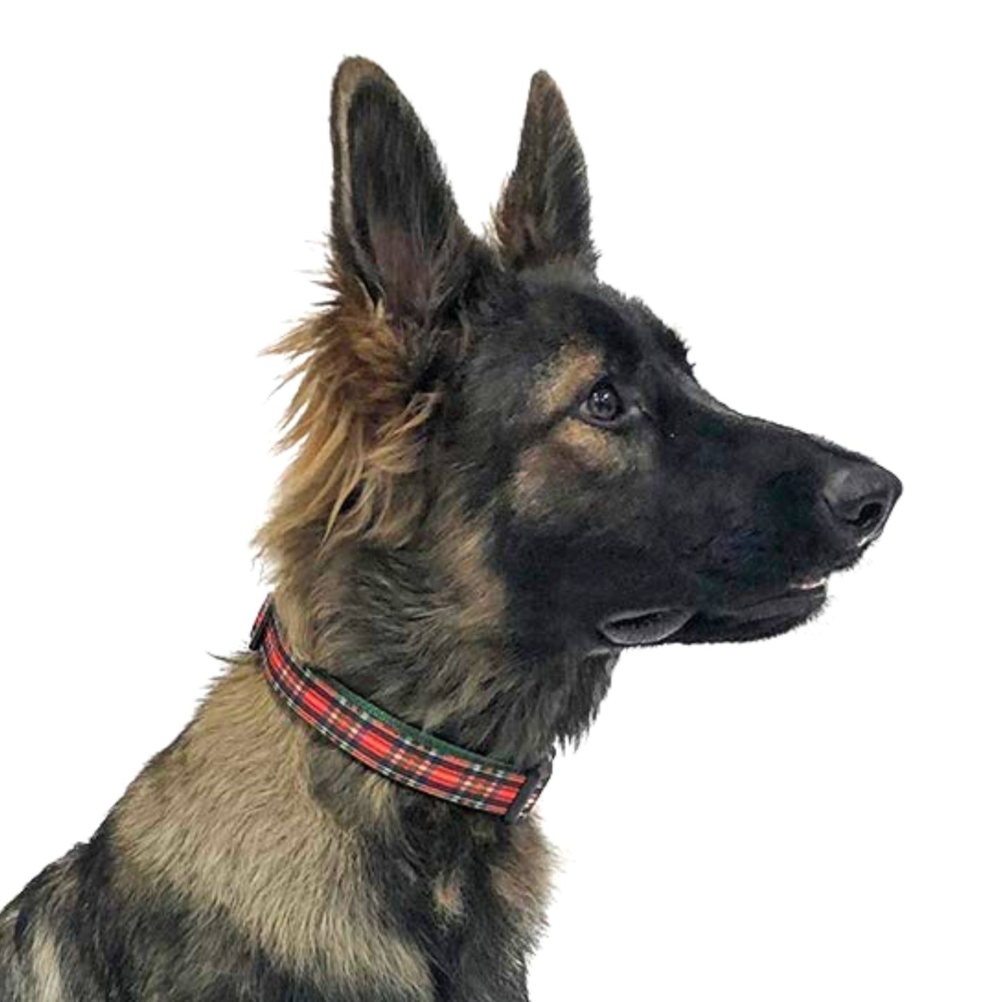 Midlee Red Plaid Christmas Nylon Ribbon Dog Collar
