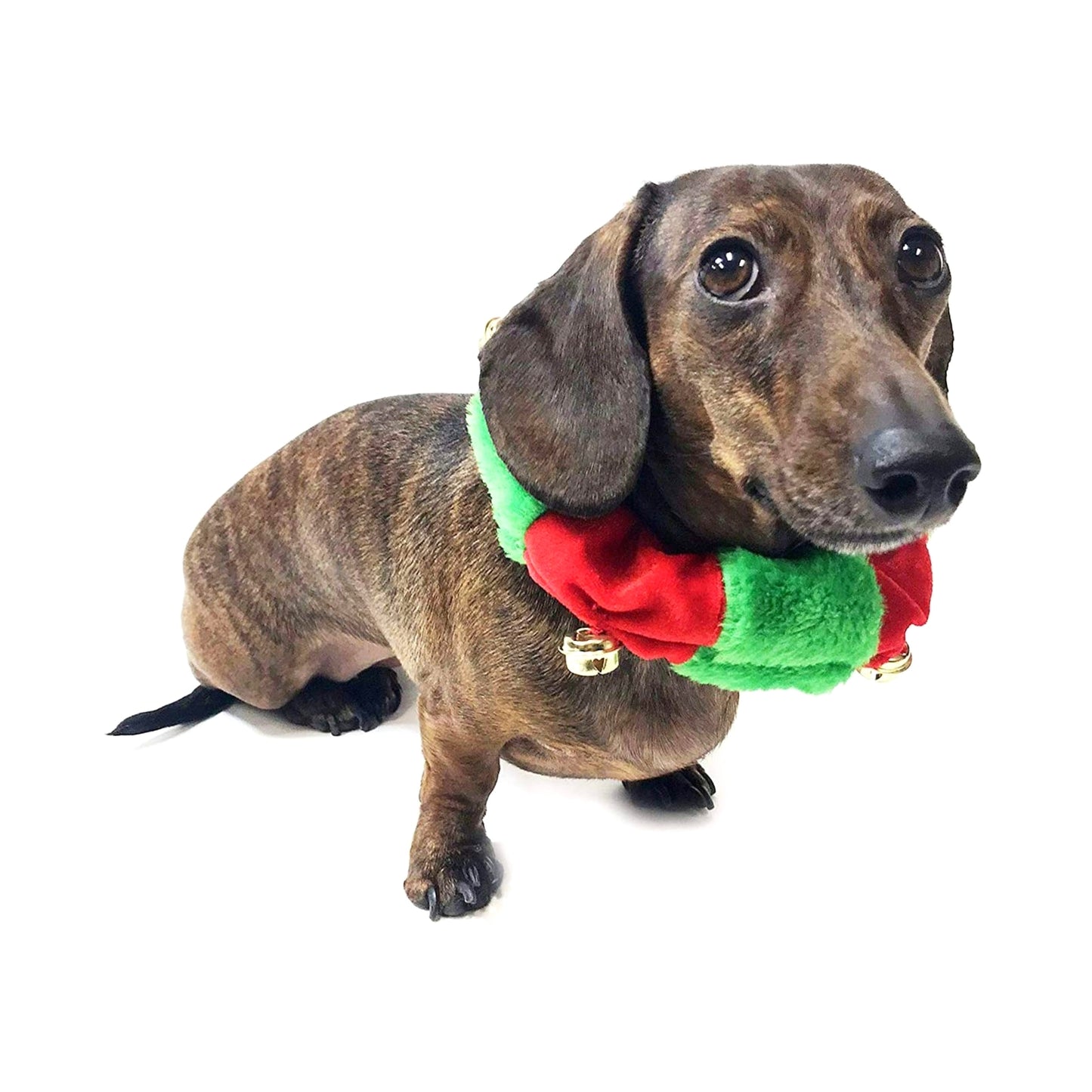 Midlee Red/Green Christmas Plush Bell Collar