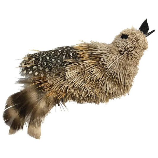 Go Cat Cat Lures Cat Catcher Attachment, Birdie