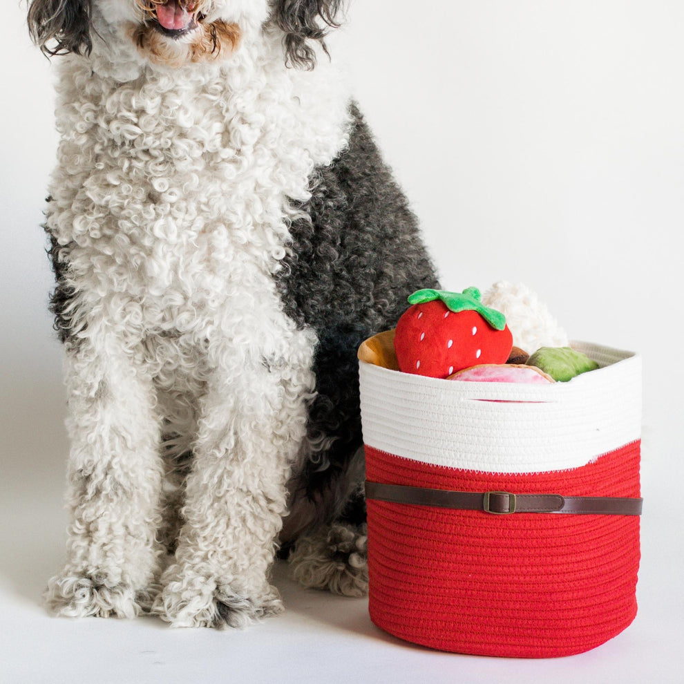 Midlee Christmas Santa Rope Basket – Midlee Designs