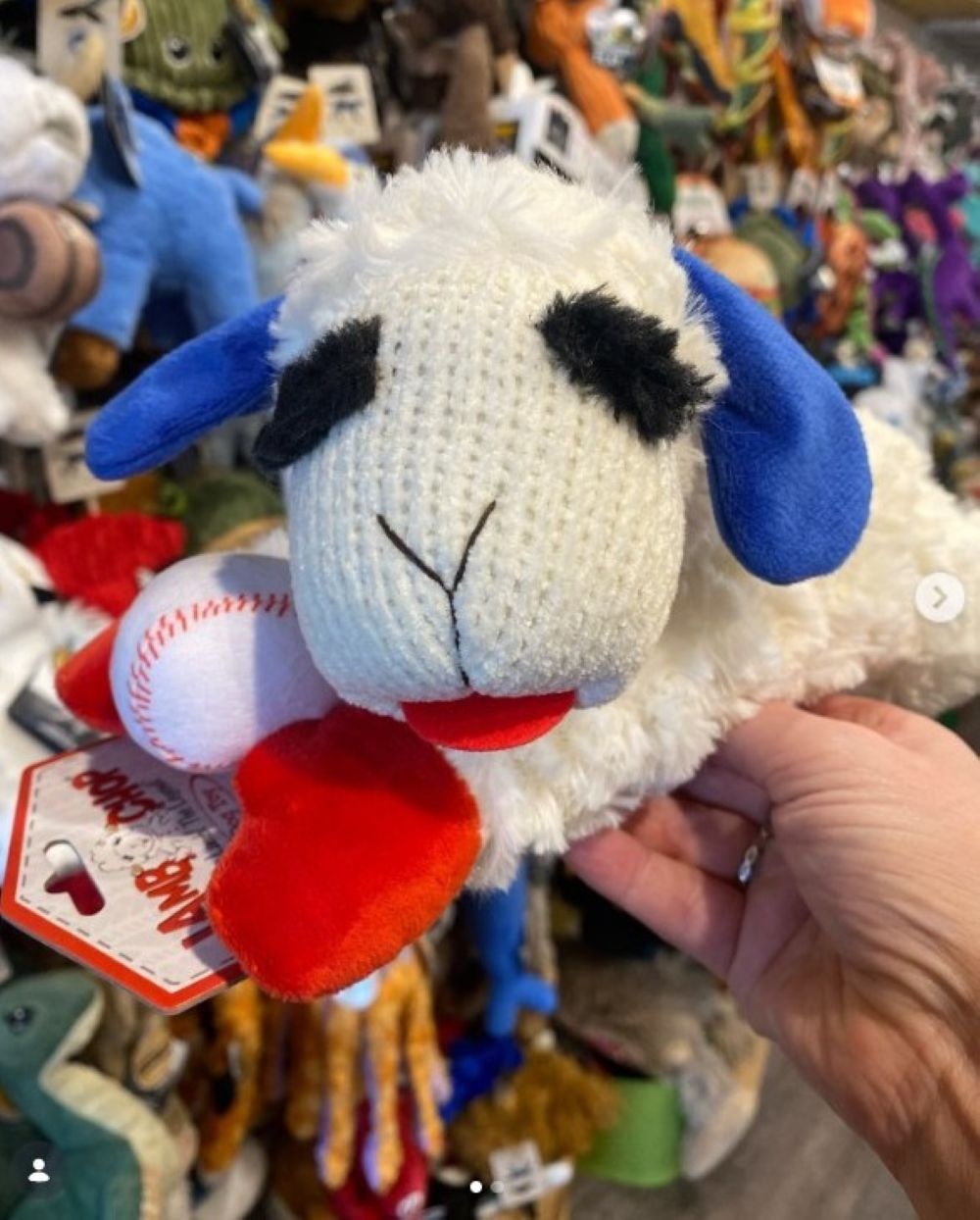 Multipet Baseball Lamb Chop Plush Dog Toy - 10.5"