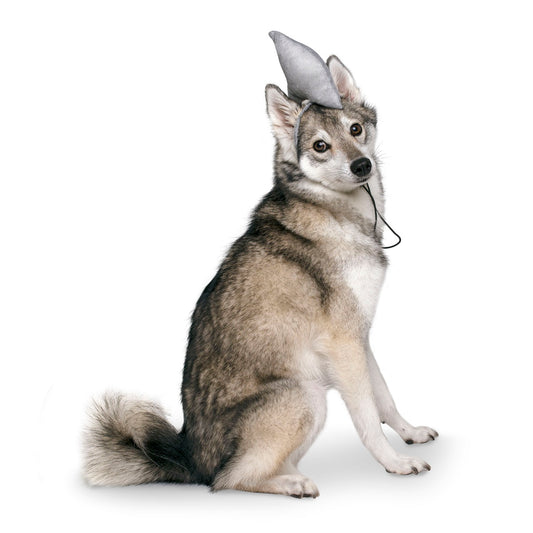 Midlee Shark Dog Headband Costume