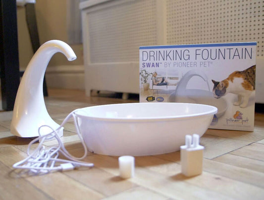 Pioneer Pet The Swan Fountain - Premium Plastic - 80oz