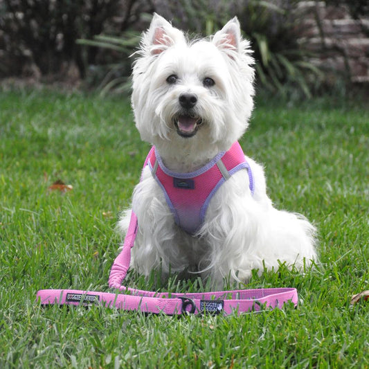 Doggie Design Soft Pull Traffic Dog Leash - Candy Pink